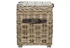 Baule portaoggetti in rattan bianco con coperchio